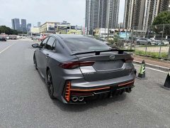 Trumpchi Leopard 270T DCT J16 R-style Track Edition - photo 6