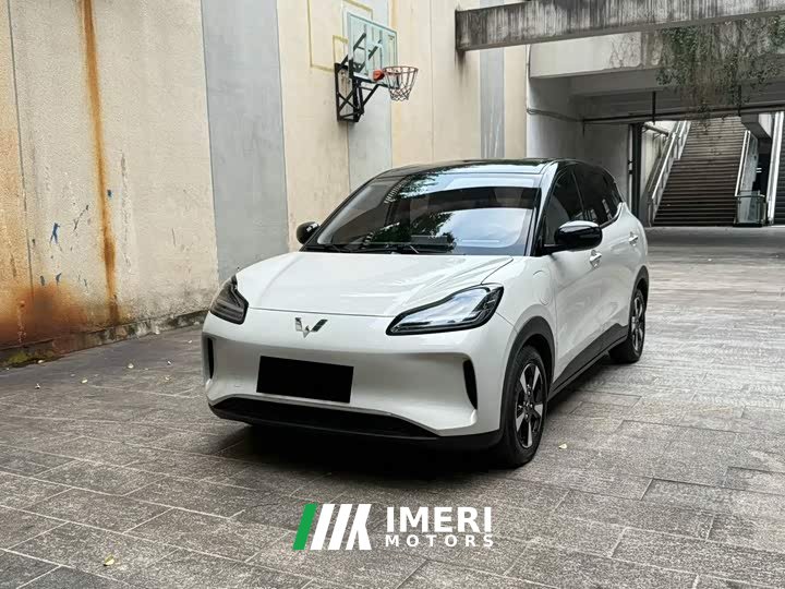 Wuling Binguo PLUS 330km 5-Seater