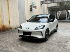 Wuling Binguo PLUS 2024 330km 5-Seater - ფოტო 1