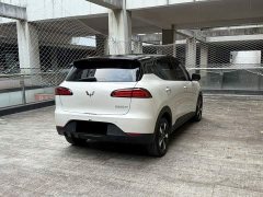 Wuling Binguo PLUS 2024 330km 5-Seater - ფოტო 4