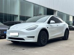 Tesla Model Y Rear-Wheel Drive - ფოტო 1
