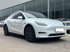 Tesla Model Y Rear-Wheel Drive - ფოტო 3