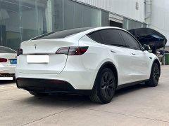 Tesla Model Y Rear-Wheel Drive - ფოტო 9