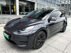 Tesla Model Y Rear-Wheel Drive - ფოტო 1