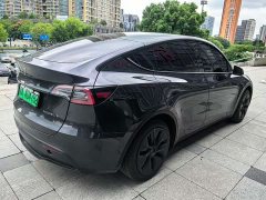 Tesla Model Y Rear-Wheel Drive - ფოტო 10