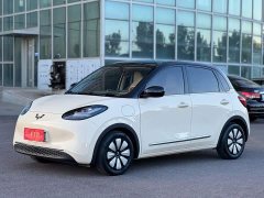 Wuling Binguo 2024 333km Joy Edition - ფოტო 1