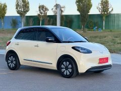 Wuling Binguo 2024 333km Joy Edition - ფოტო 3