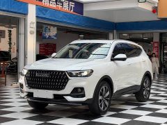 Haval H6 National Trend Edition 1.5T Automatic Champion Version - photo 1