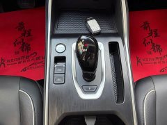 Haval H6 National Trend Edition 1.5T Automatic Champion Version - photo 14