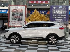 Haval H6 National Trend Edition 1.5T Automatic Champion Version - photo 18
