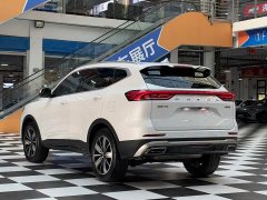 Haval H6 National Trend Edition 1.5T Automatic Champion Version - photo 19