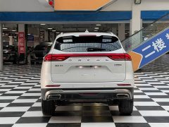 Haval H6 National Trend Edition 1.5T Automatic Champion Version - photo 20