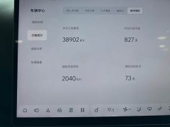 Li Auto L8 Pro - ფოტო 3
