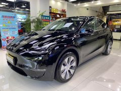 Tesla Model Y Standard Range RWD - ფოტო 1