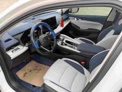 Geely Xingrui 2.0T Diesel Premium - ფოტო 4