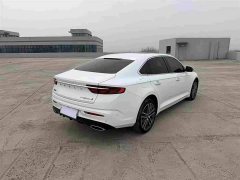 Geely Xingrui 2.0T Diesel Premium - ფოტო 8