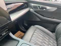 GAC Aion GS8 2022 Dual Engine 2.0T M AWD Luxury Edition 7-Seater - photo 17