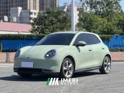 2023 ORA Good Cat 401km Standard Range Deluxe Edition LFP Battery - ავტომობილი ჩინეთიდან