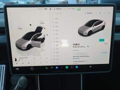 Tesla Model Y Rear-Wheel Drive - ფოტო 14