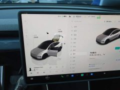 Tesla Model Y Rear-Wheel Drive - ფოტო 16