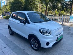 Leapmotor Leapo T03 310 Comfort Edition - photo 14