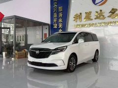 Buick GL8 ES Land Respect 653T Luxury - ფოტო 1