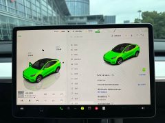 Tesla Model Y 2022 Facelift Rear-Wheel Drive - ფოტო 11