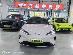 BYD Dolphin 07 DM-i 2026 DM-i 1.5T 230km Flagship - photo 2