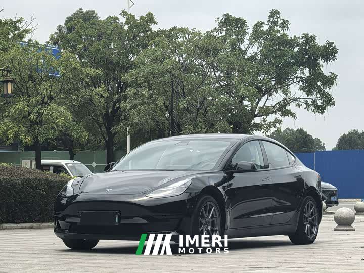 Tesla Model 3 Rear-Wheel Drive