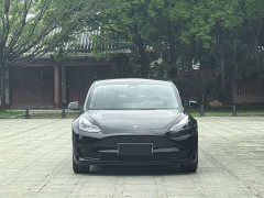 Tesla Model 3 2022 Rear-Wheel Drive - ფოტო 2