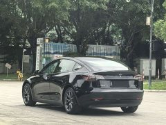 Tesla Model 3 2022 Rear-Wheel Drive - ფოტო 4