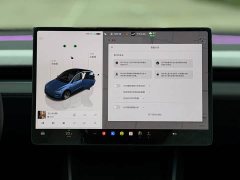 Tesla Model Y 2025 Long Range All-Wheel Drive Launch Edition - ფოტო 14