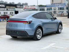 Tesla Model Y 2025 Long Range All-Wheel Drive Launch Edition - ფოტო 7