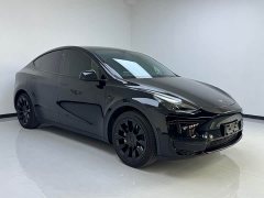 Tesla Model Y Rear-Wheel Drive - ფოტო 2