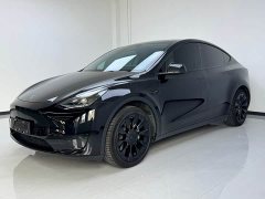 Tesla Model Y Rear-Wheel Drive - ფოტო 3