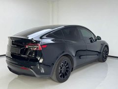Tesla Model Y Rear-Wheel Drive - ფოტო 6