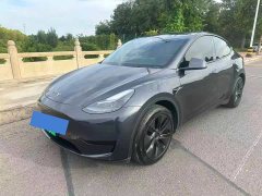 Tesla Model Y Rear-Wheel Drive - ფოტო 6