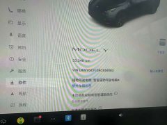 Tesla Model Y Rear-Wheel Drive - ფოტო 8