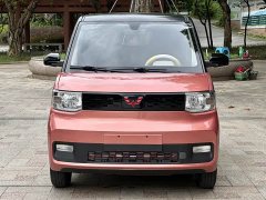 Wuling Hongguang MINIEV 2020 Deluxe Edition LFP Battery - photo 3