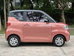 Wuling Hongguang MINIEV 2020 Deluxe Edition LFP Battery - photo 5