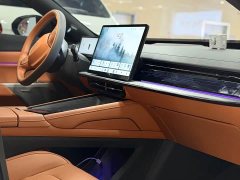 Dongfeng eπ007 620Pro Edition - ფოტო 14