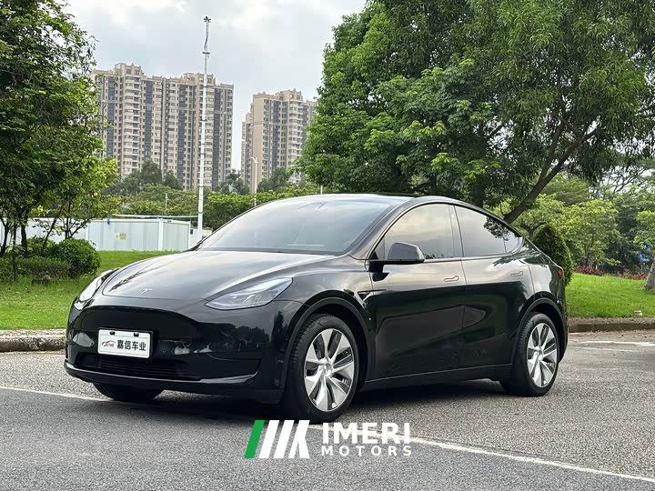 Tesla Model Y Facelift Rear-Wheel Drive - ავტომობილი ჩინეთიდან