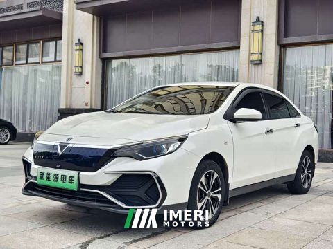 2022 Nissan Venucia D60EV Standard Range Comfort Edition - car from China