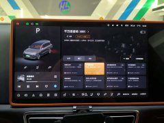 Li Auto L9 Pro - ფოტო 7