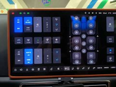 Li Auto L9 Pro - ფოტო 8