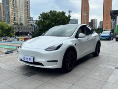 Tesla Model Y Long Range All-Wheel Drive 3D7 - ფოტო 1