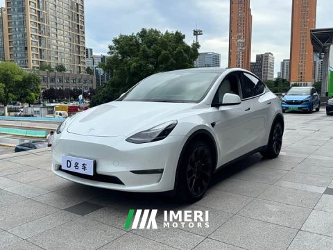 2021 Tesla Model Y Long Range All-Wheel Drive 3D7 - ავტომობილი ჩინეთიდან