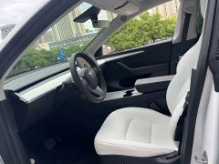 Tesla Model Y Long Range All-Wheel Drive 3D7 - ფოტო 10
