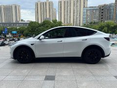 Tesla Model Y Long Range All-Wheel Drive 3D7 - ფოტო 2