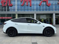Tesla Model Y Long Range All-Wheel Drive 3D7 - ფოტო 4